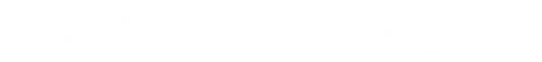 GAMER VIBE APPAREL 